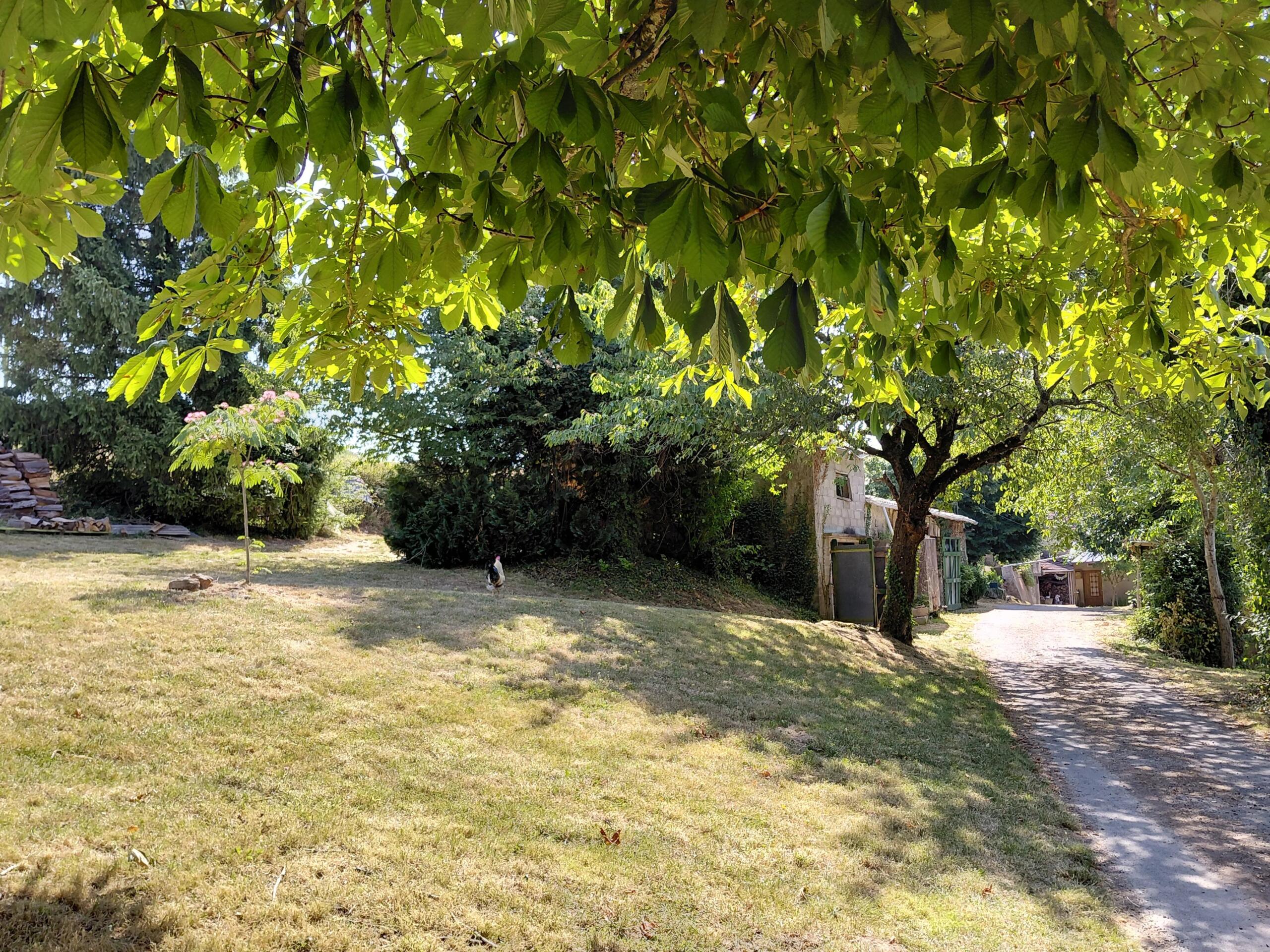 Stone Farmhouse for Sale in Saint-Christophe – No Neighbours, Barn, Outbuildings and Land, Midi-Pyrénées – France – BVI86071