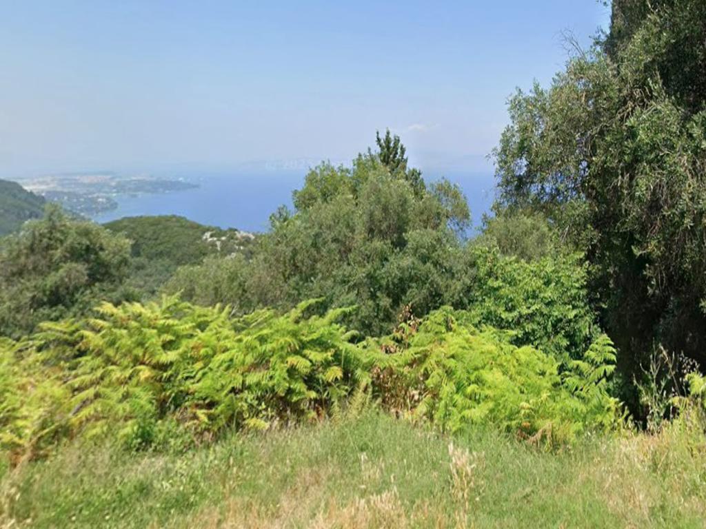 Land in Corfu, Corfu Prefecture, Greece – GDOMV3