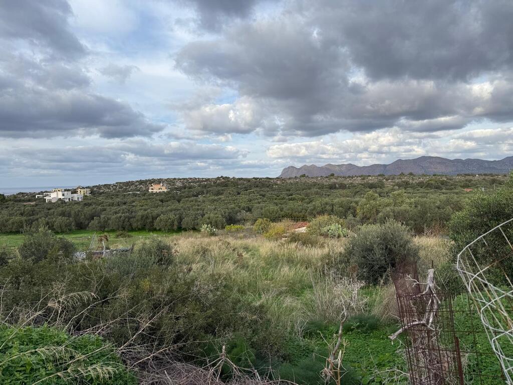Land in Akrotiri, Chania Prefecture, Greece – 65280