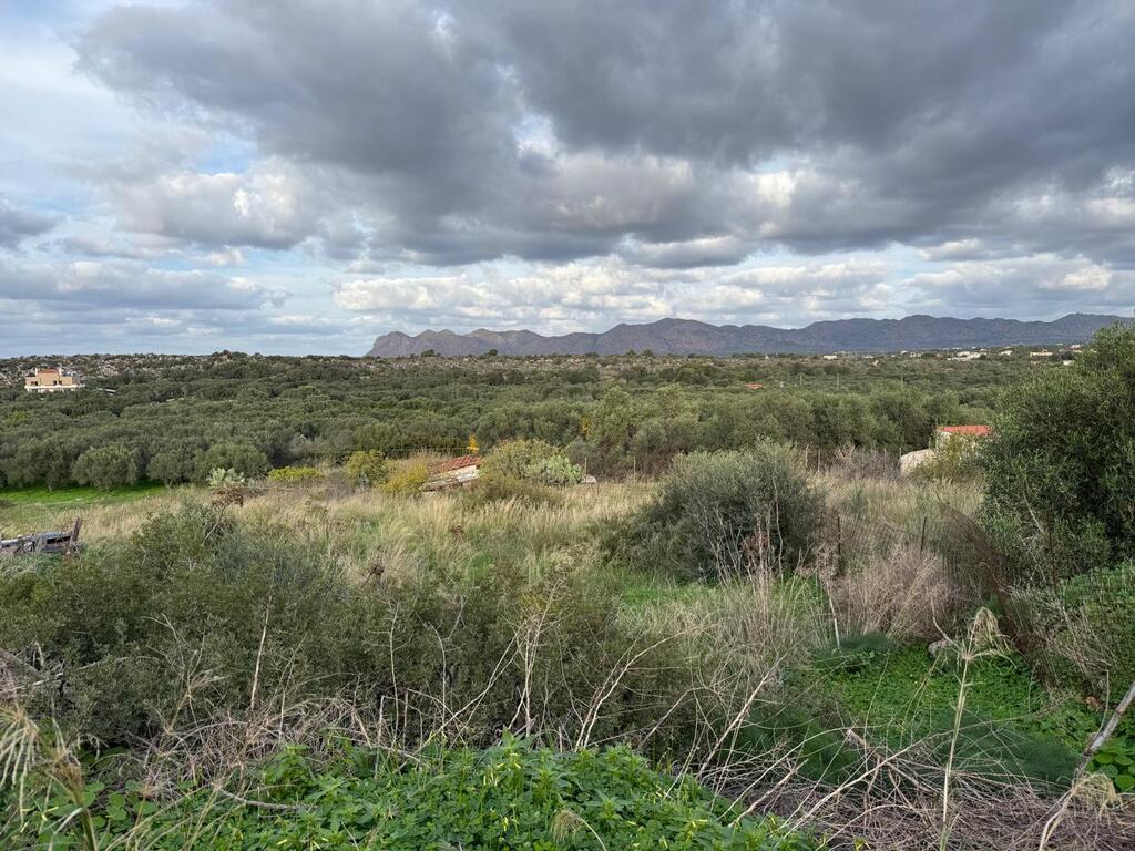 Land in Akrotiri, Chania Prefecture, Greece – 65280