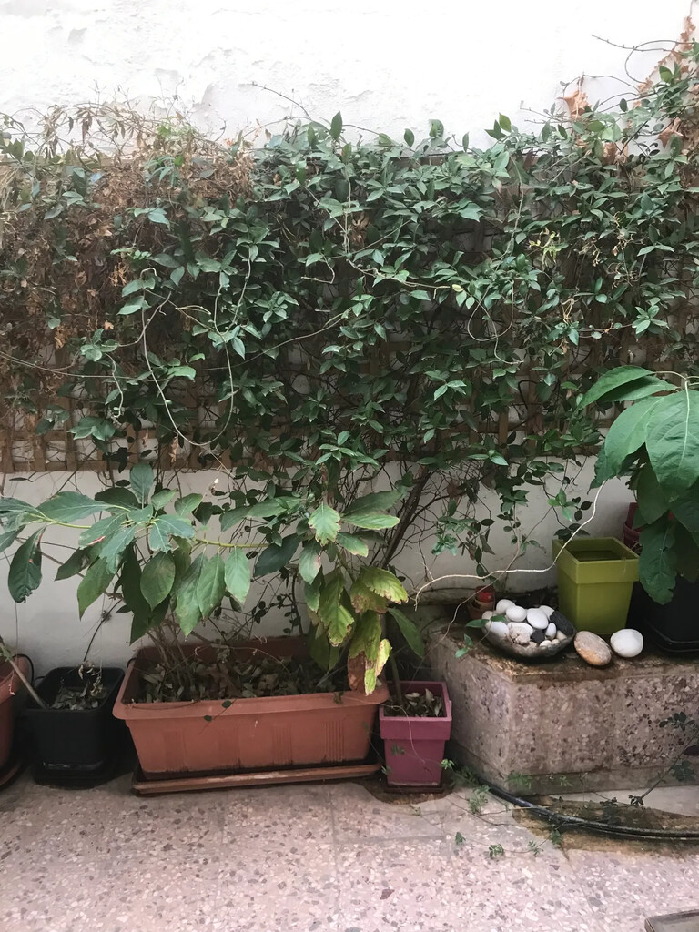 2 bedroom Flat in Ilioupoli, Athens – South, Greece – 65274