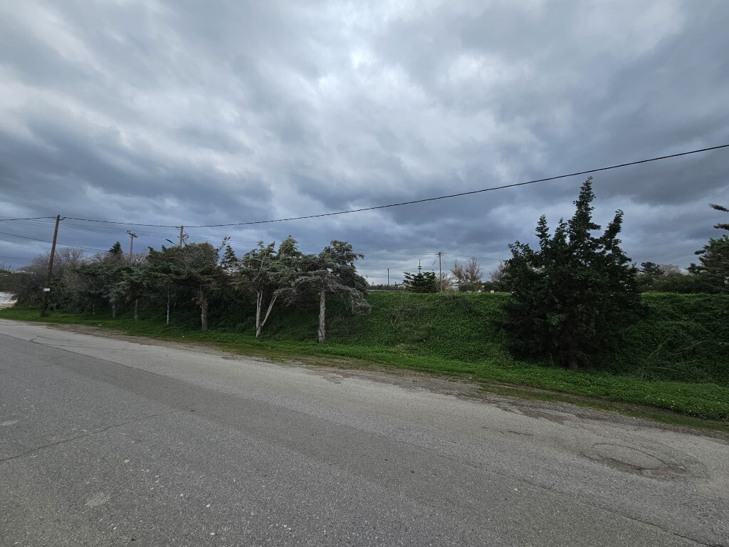 Land in Arkadi, Rethymno Prefecture, Greece – 65233