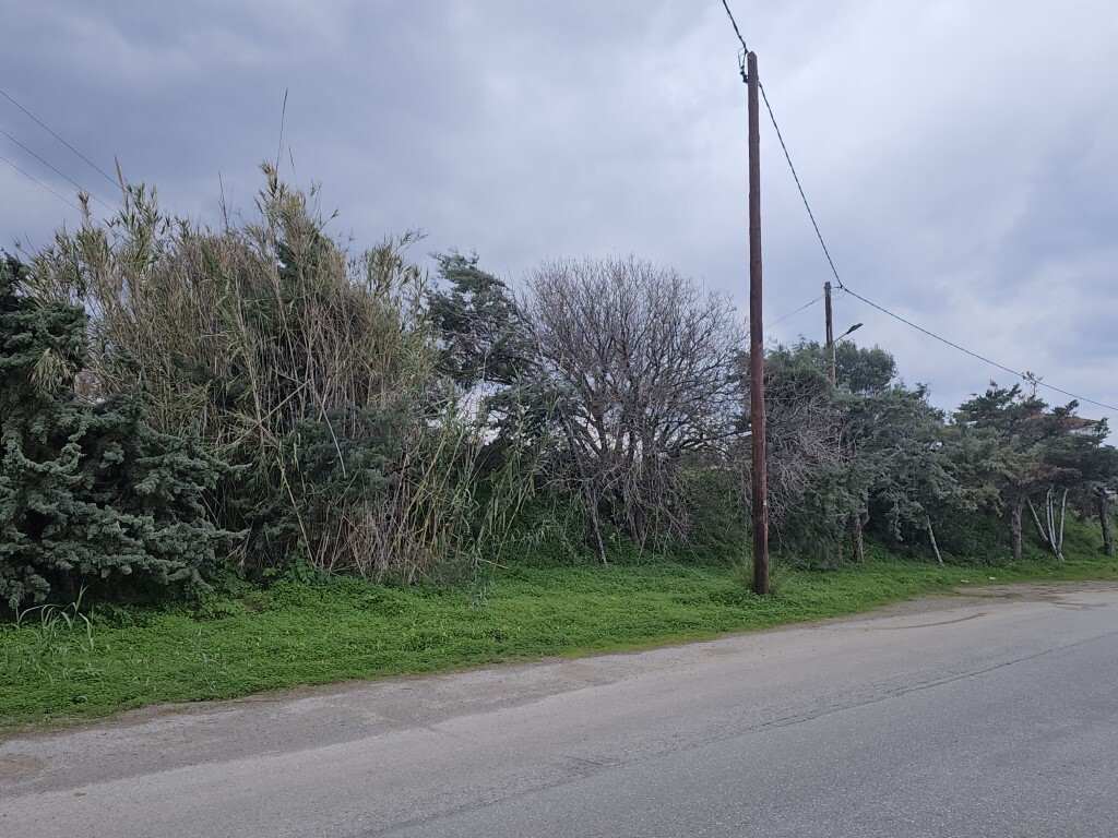 Land in Arkadi, Rethymno Prefecture, Greece – 65233