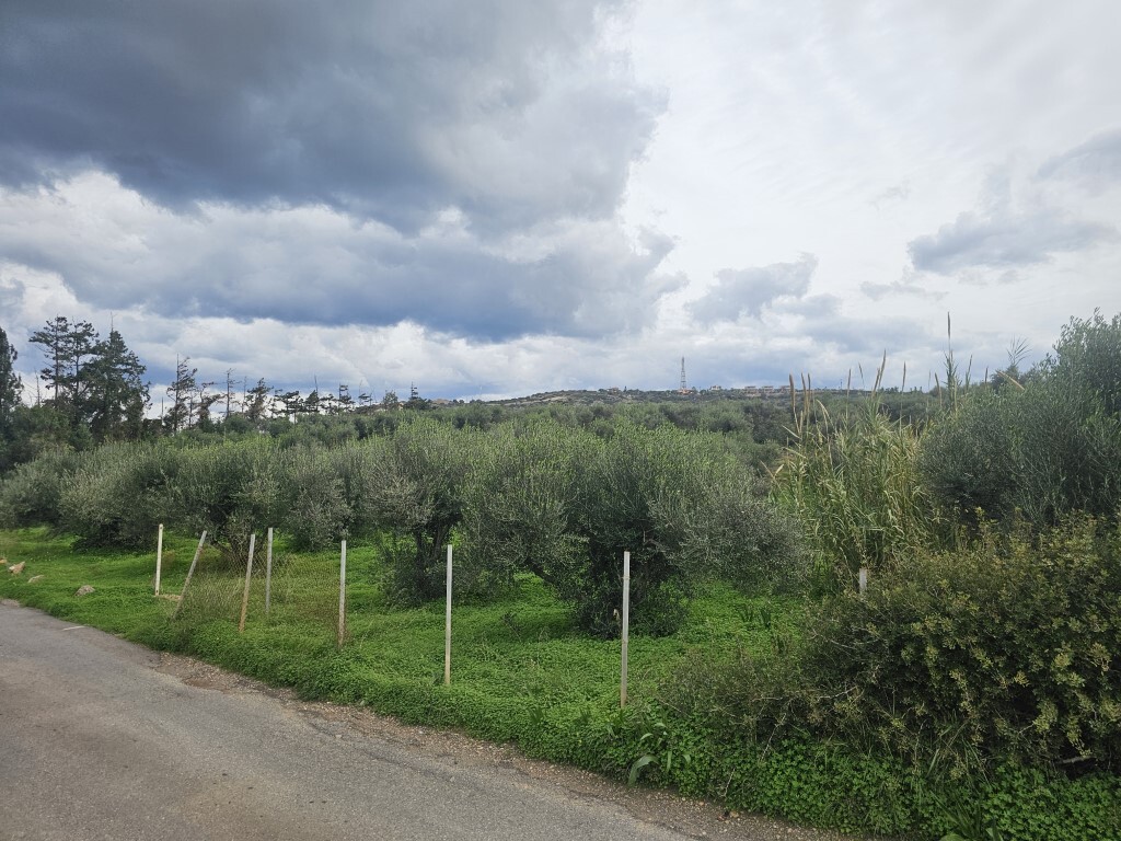 Land in Vrachasi, Lasithi Prefecture, Greece – GDOMV3