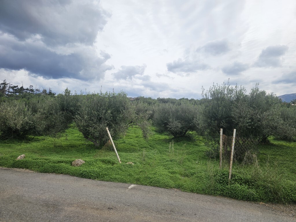 Land in Vrachasi, Lasithi Prefecture, Greece – 65231