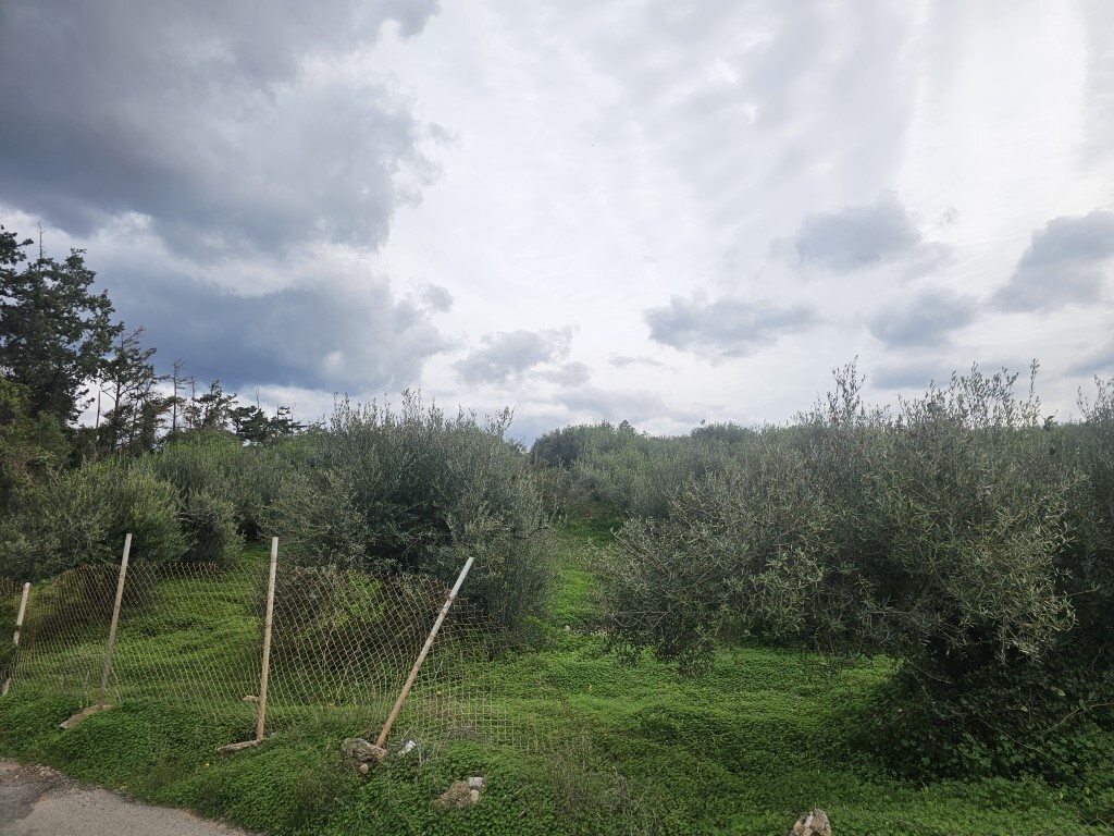 Land in Vrachasi, Lasithi Prefecture, Greece – 65231