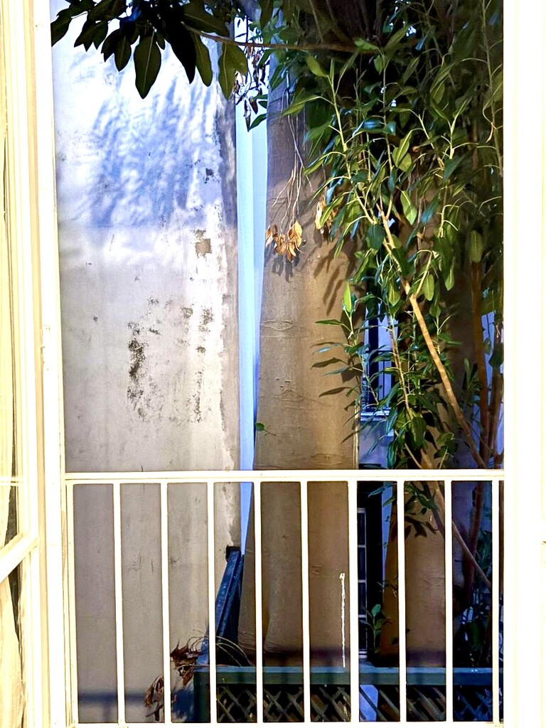 1 bedroom Flat in Kolonaki – Lykavittos, Athens – Center, Greece – 65210