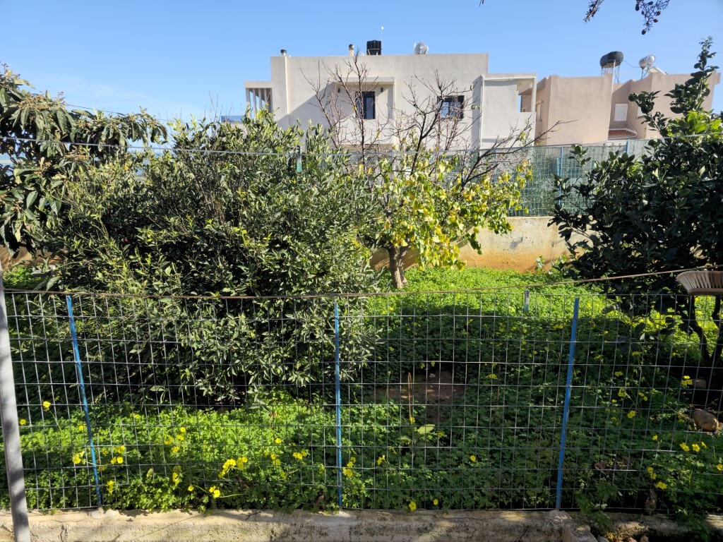 Land in Vrachasi, Lasithi Prefecture, Greece – 65156