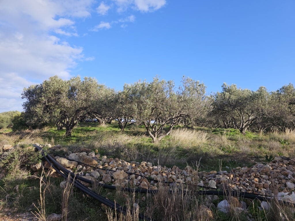 Land in Vrachasi, Lasithi Prefecture, Greece – GDOMV3