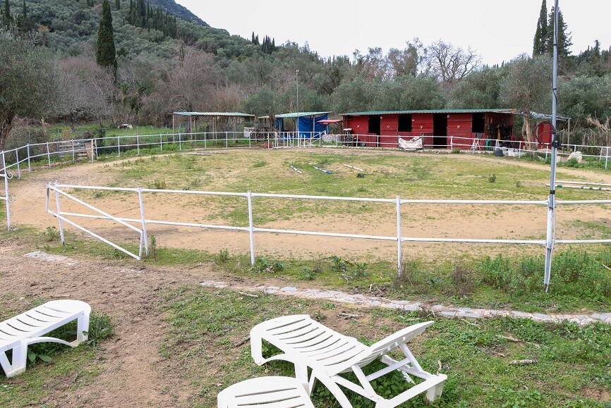 Business in Corfu, Corfu Prefecture, Greece – 65132