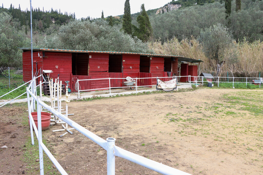 Business in Corfu, Corfu Prefecture, Greece – 65132