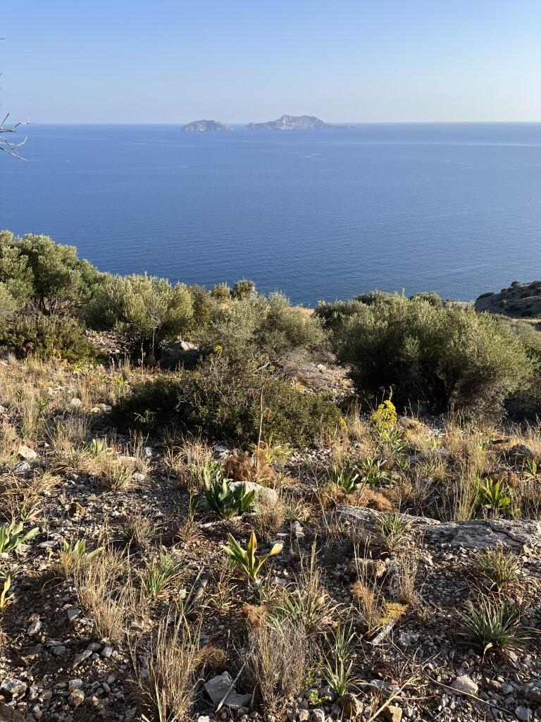 Land in Lampi, Rethymno Prefecture, Greece – 64871