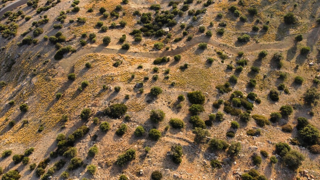 Land in Lampi, Rethymno Prefecture, Greece – 64871
