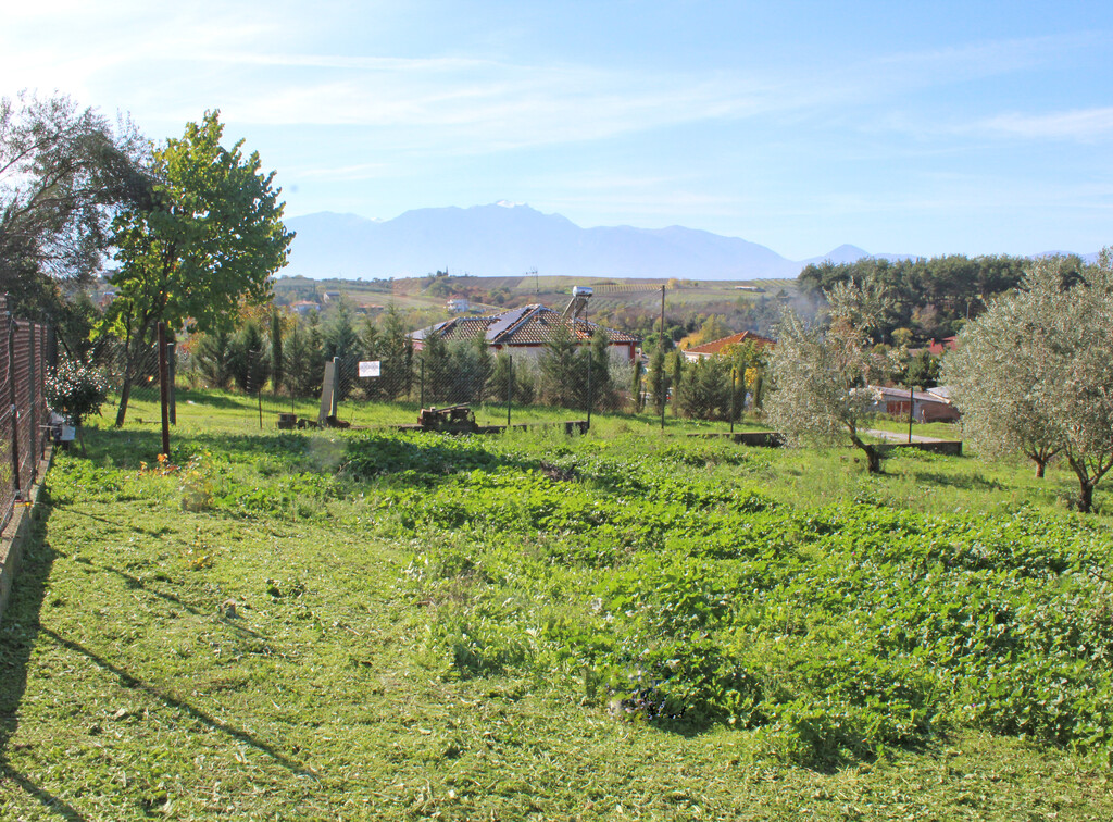 Land in Korinos, Pieria Prefecture, Greece – 64748
