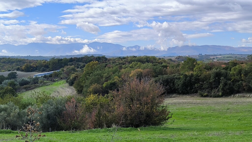 Land in Pidna, Pieria Prefecture, Greece – 64726