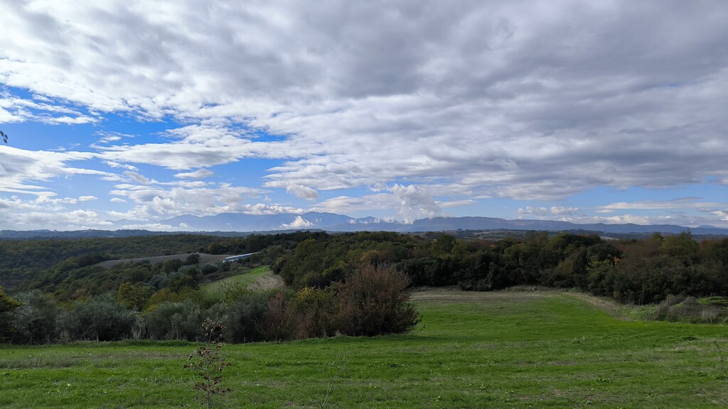 Land in Pidna, Pieria Prefecture, Greece – 64726