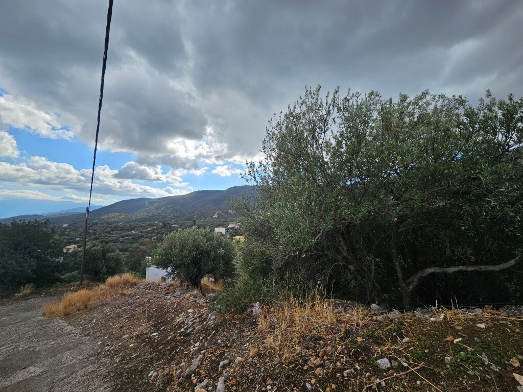 Land in Agios Nikolaos, Lasithi Prefecture, Greece – 64677