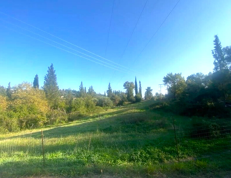 Land in Corfu, Corfu Prefecture, Greece – 64435