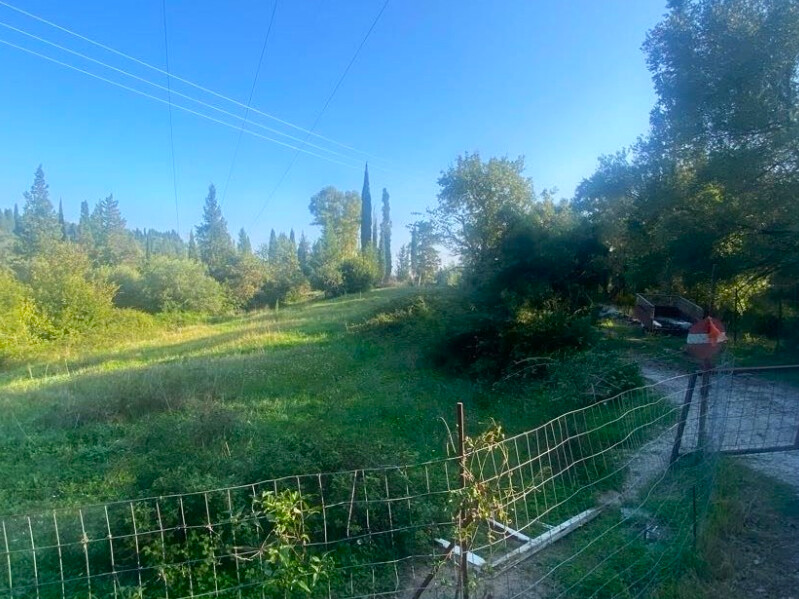 Land in Corfu, Corfu Prefecture, Greece – 64435