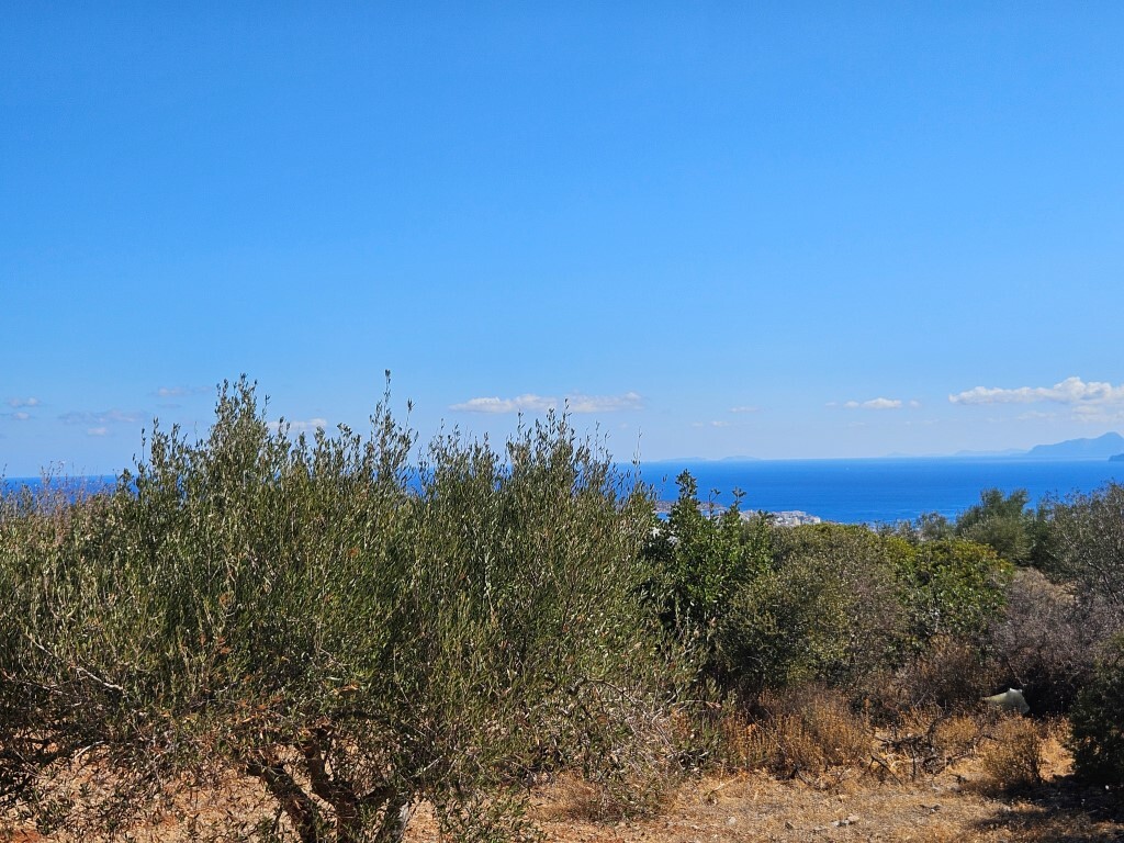 Land in Agios Nikolaos, Lasithi Prefecture, Greece – 64280