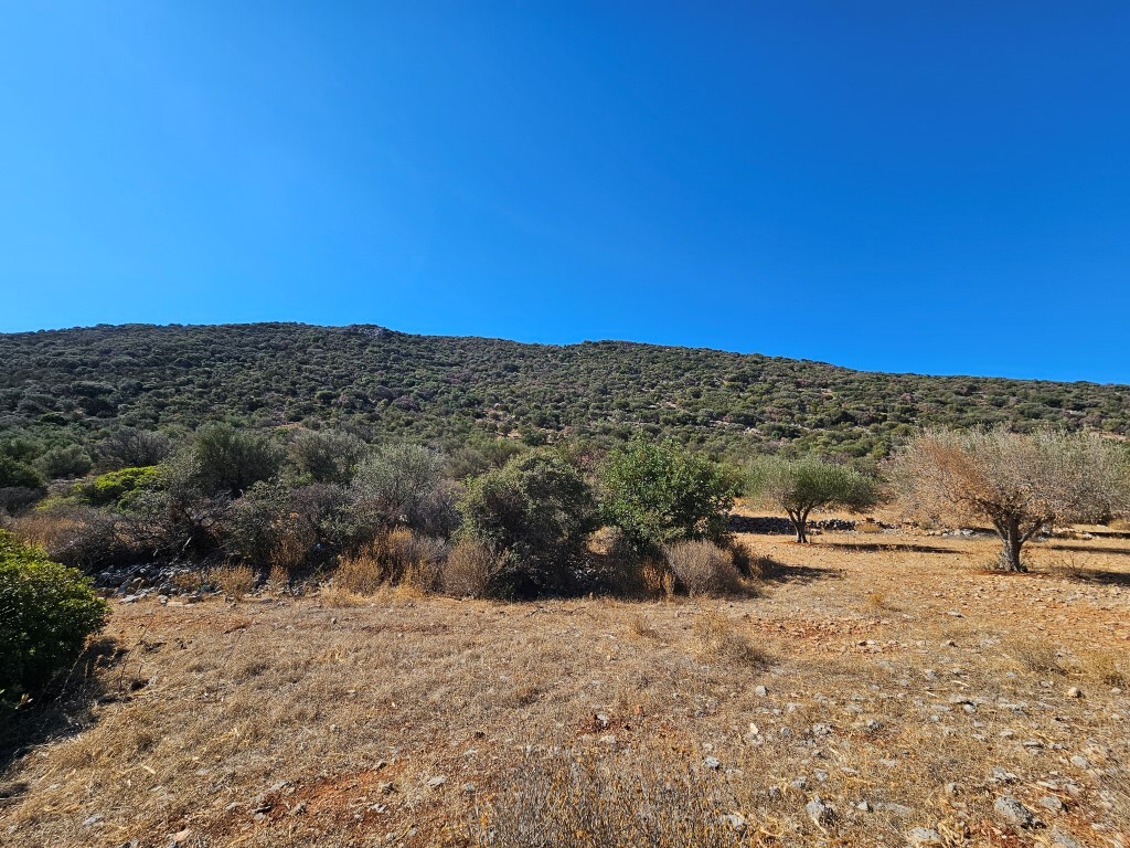 Land in Agios Nikolaos, Lasithi Prefecture, Greece – 64280