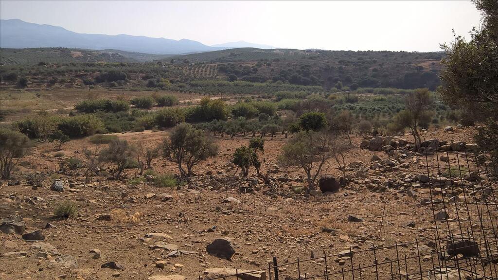 Land in Geropotamos, Rethymno Prefecture, Greece – 64251