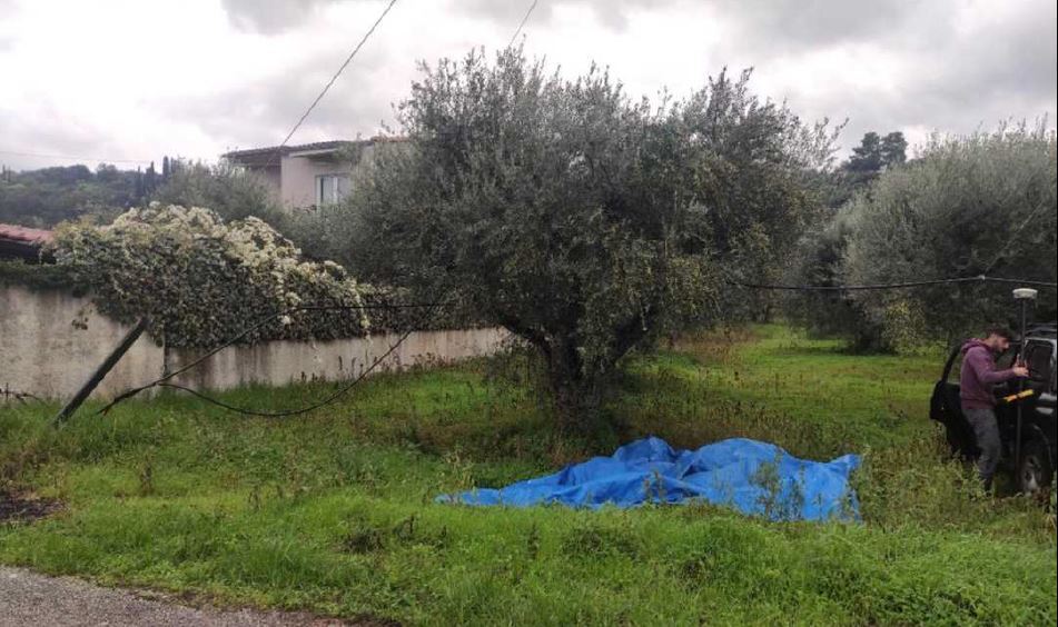 Land in Dytikis Achaias, Achaia, Greece – 64183