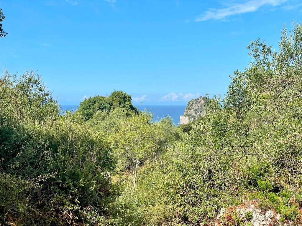 Land in Corfu, Corfu Prefecture, Greece – 64098