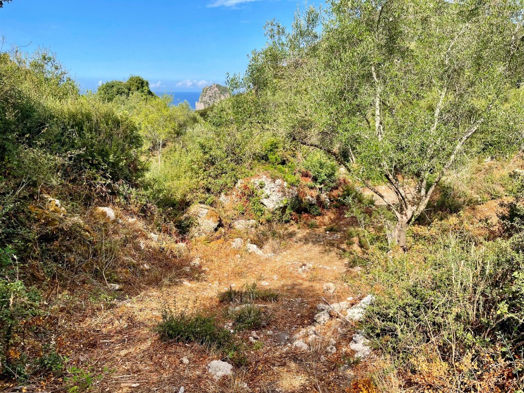 Land in Corfu, Corfu Prefecture, Greece – 64098