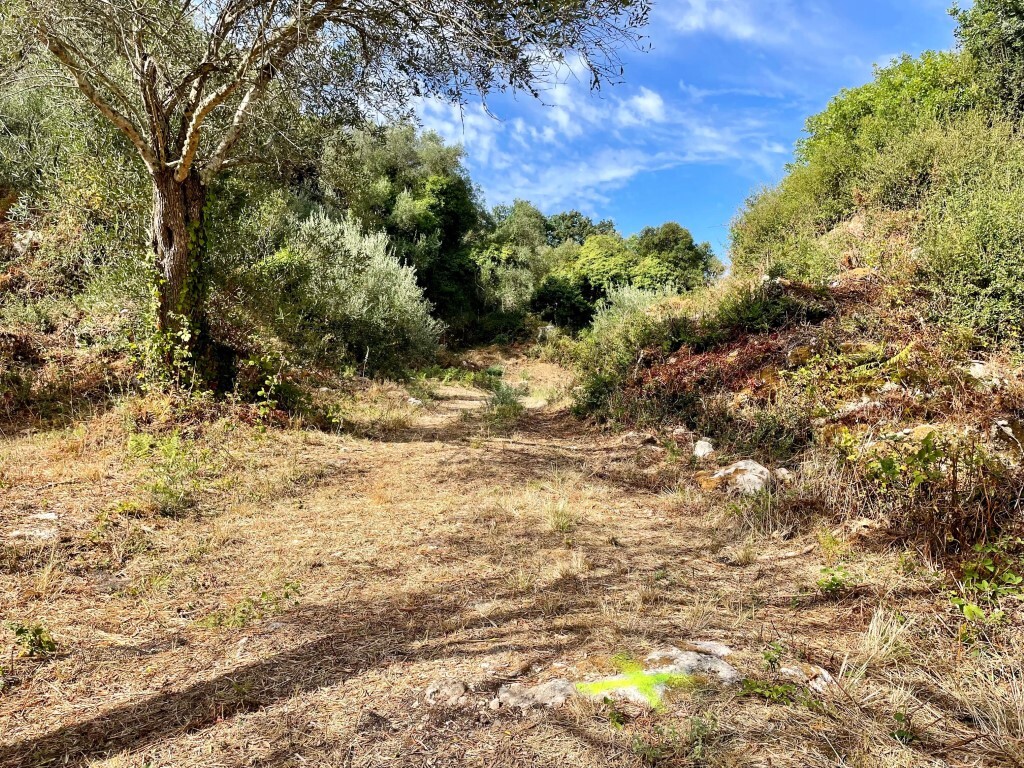 Land in Corfu, Corfu Prefecture, Greece – 64098