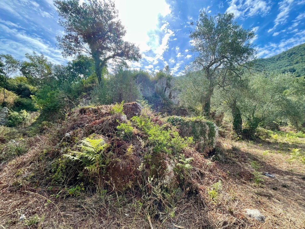 Land in Corfu, Corfu Prefecture, Greece – 64098