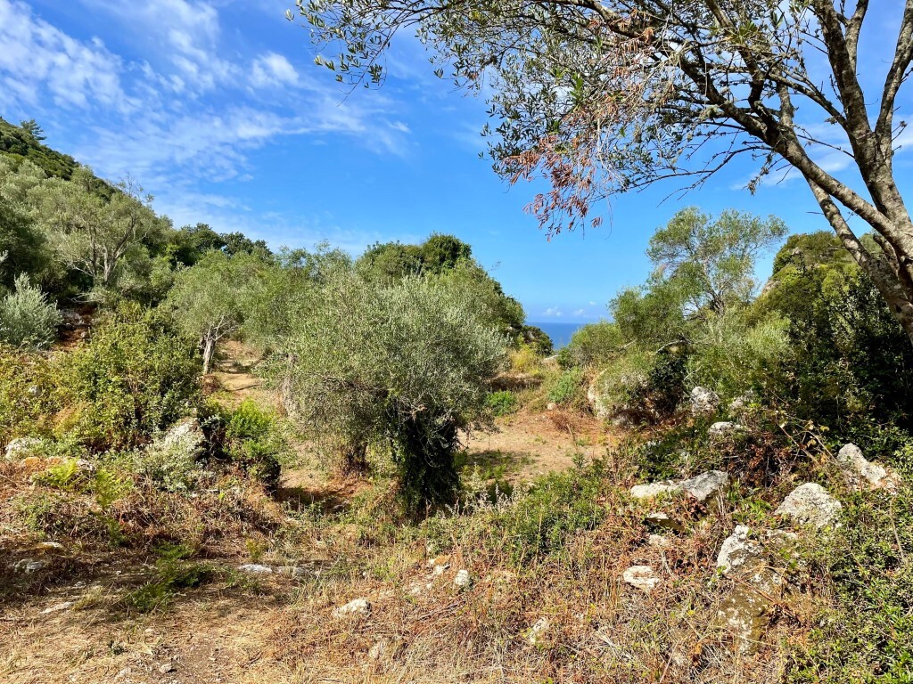 Land in Corfu, Corfu Prefecture, Greece – 64098