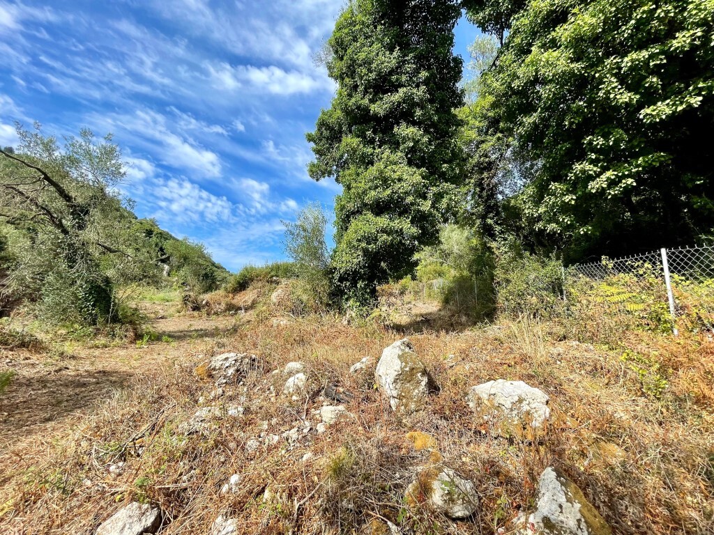 Land in Corfu, Corfu Prefecture, Greece – 64098