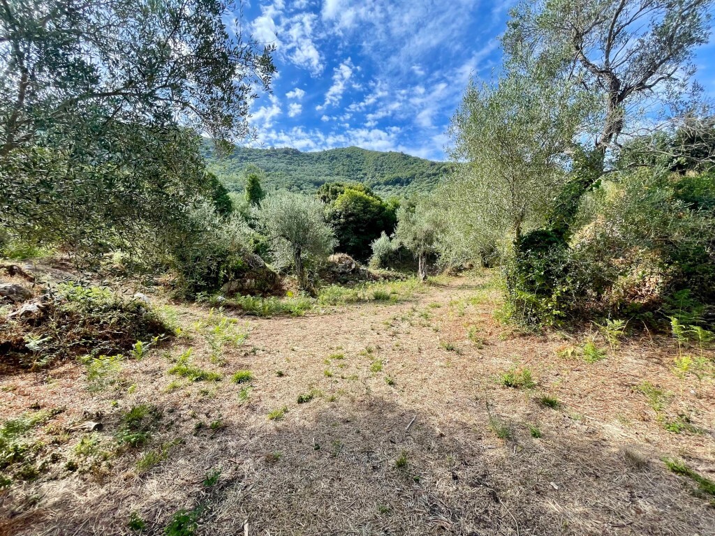 Land in Corfu, Corfu Prefecture, Greece – 64098