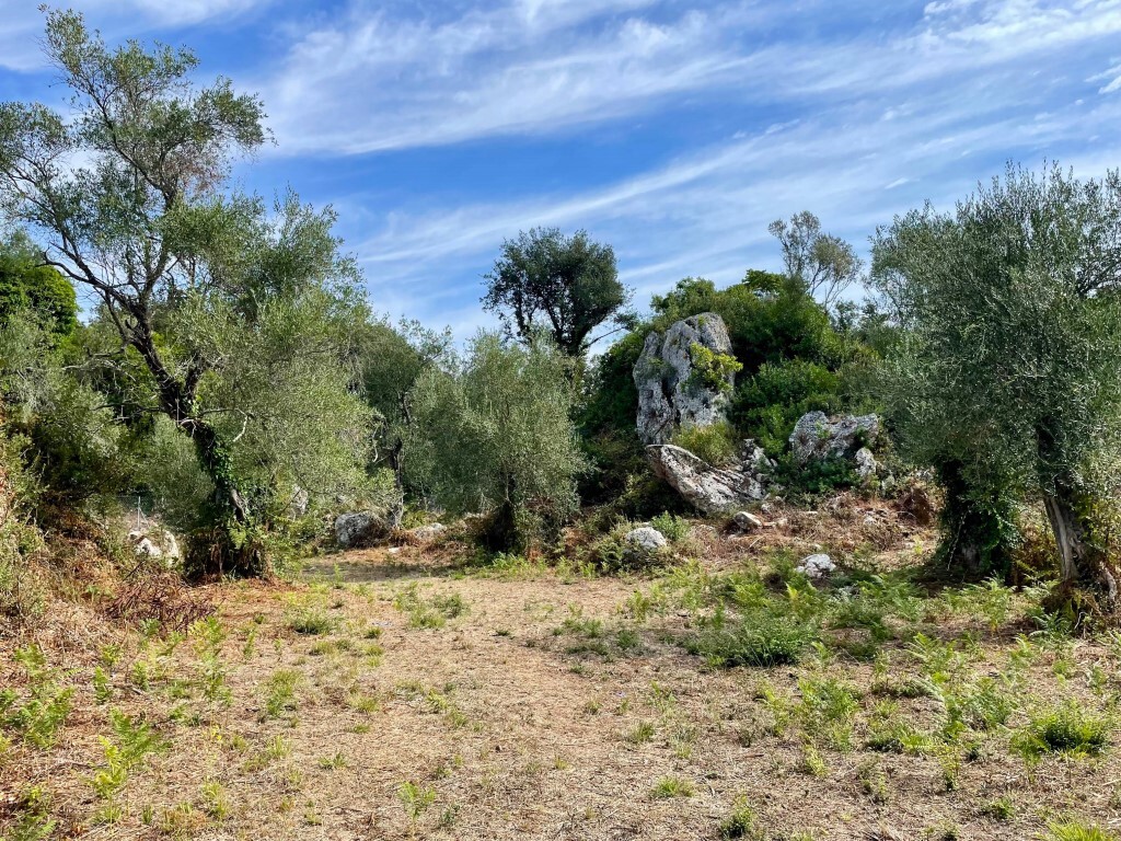Land in Corfu, Corfu Prefecture, Greece – 64098