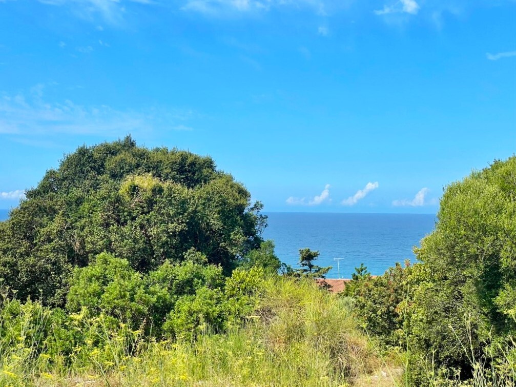 Land in Corfu, Corfu Prefecture, Greece – 64097