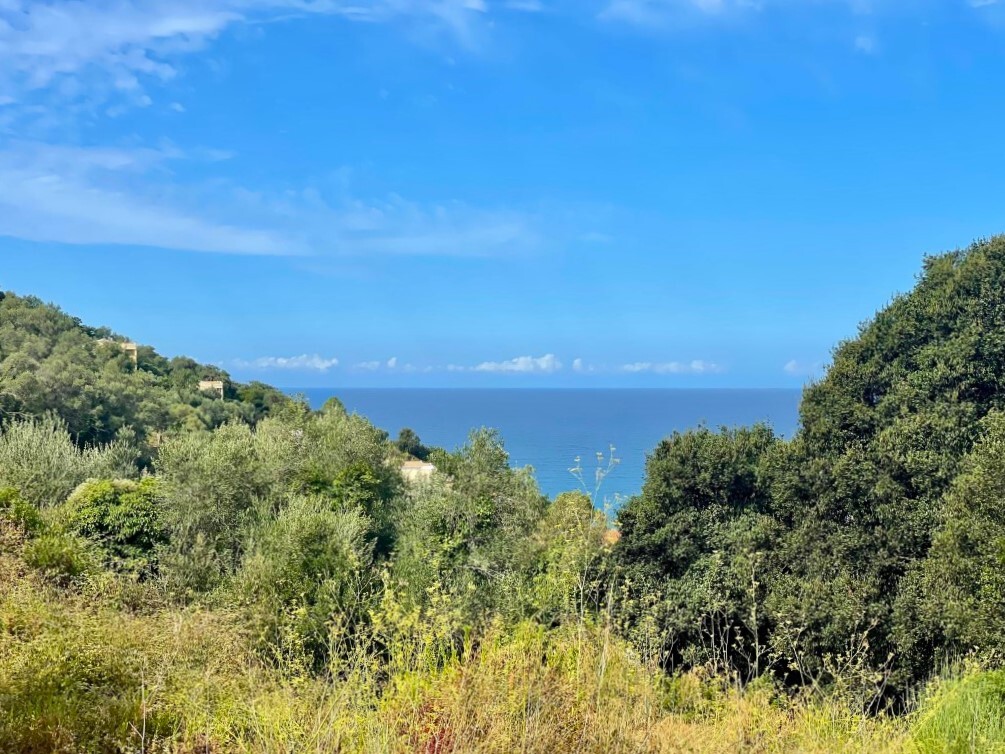 Land in Corfu, Corfu Prefecture, Greece – 64097