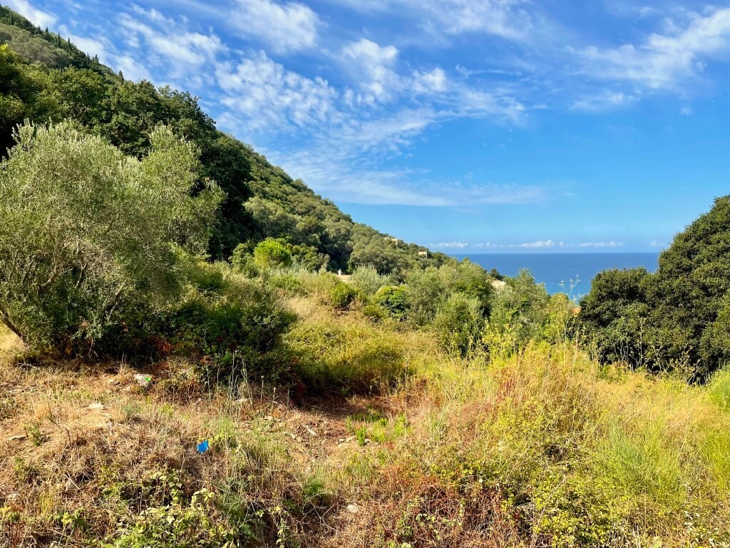 Land in Corfu, Corfu Prefecture, Greece – 64097