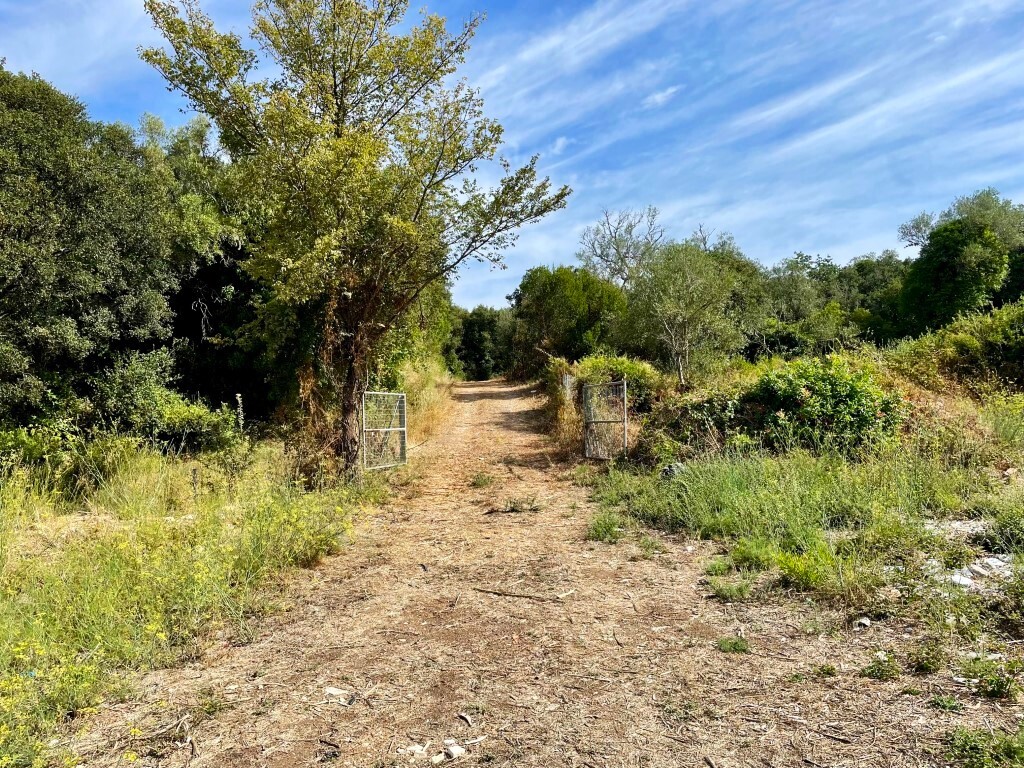Land in Corfu, Corfu Prefecture, Greece – 64097
