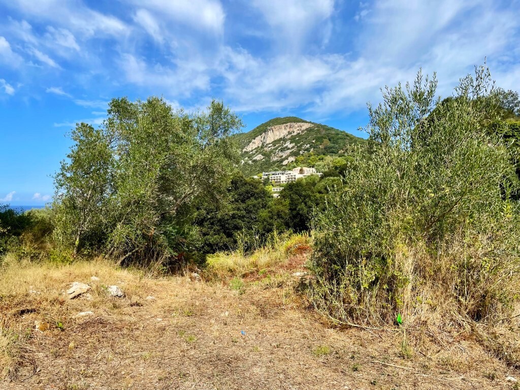 Land in Corfu, Corfu Prefecture, Greece – 64097