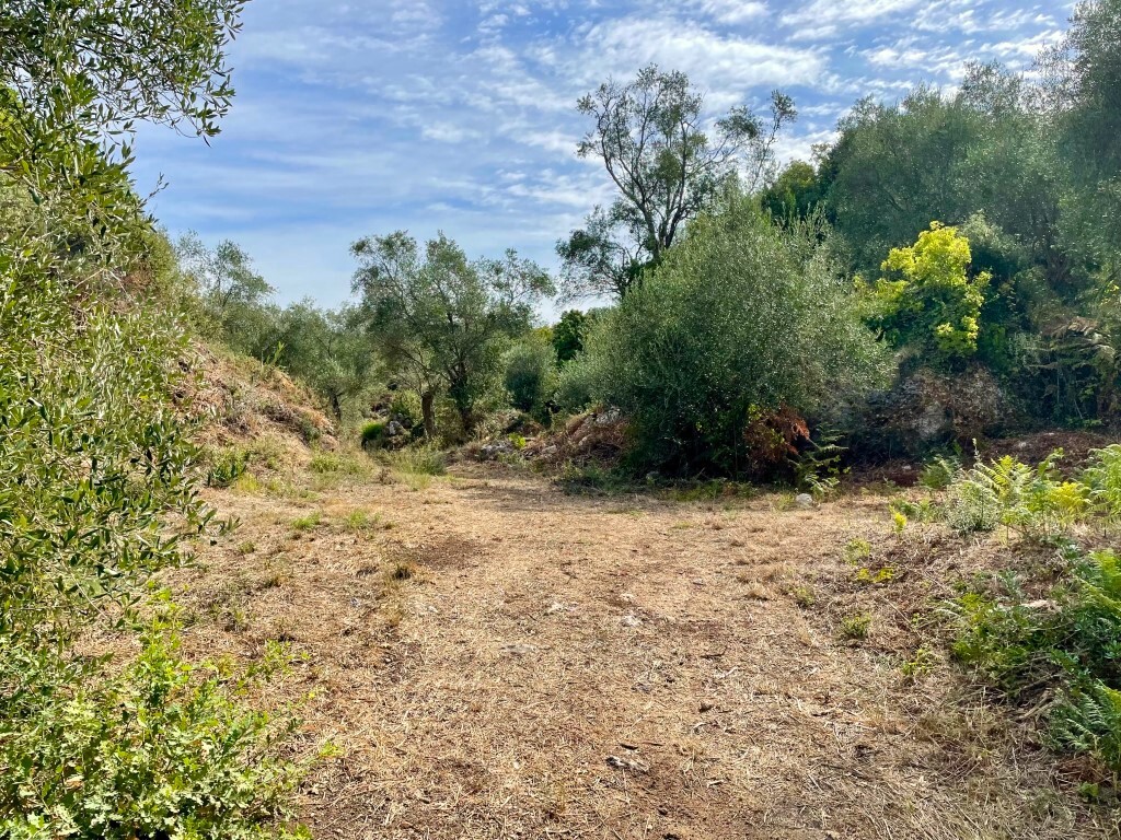 Land in Corfu, Corfu Prefecture, Greece – 64097