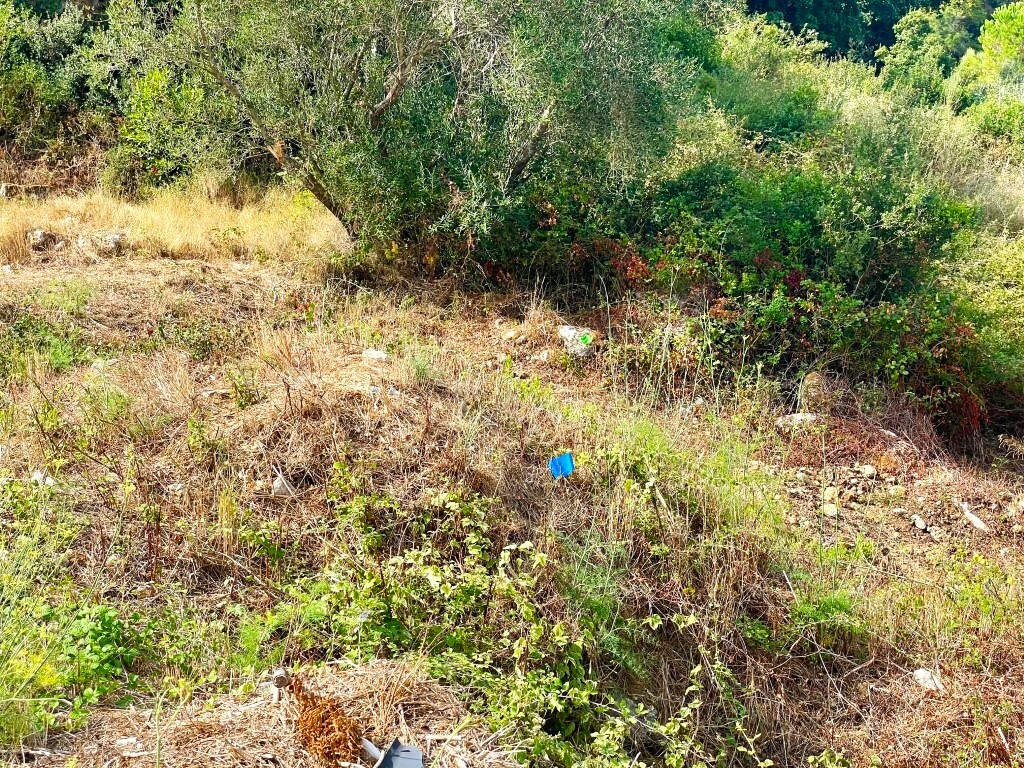 Land in Corfu, Corfu Prefecture, Greece – 64097