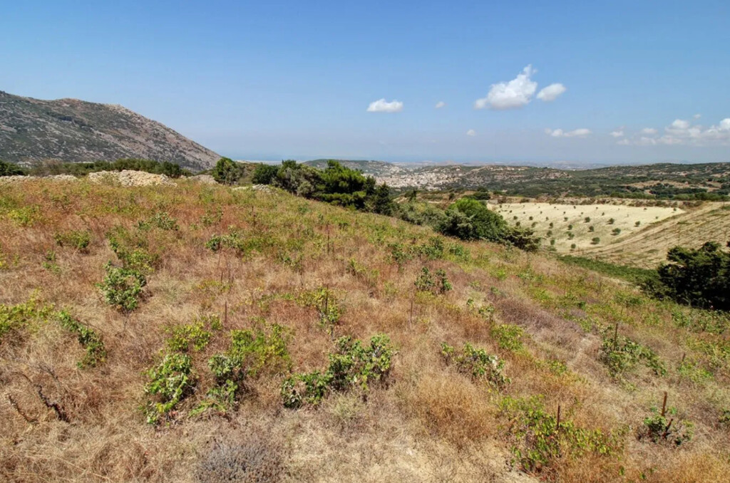 Land in Archanes, Heraklion Prefecture, Greece – 64068