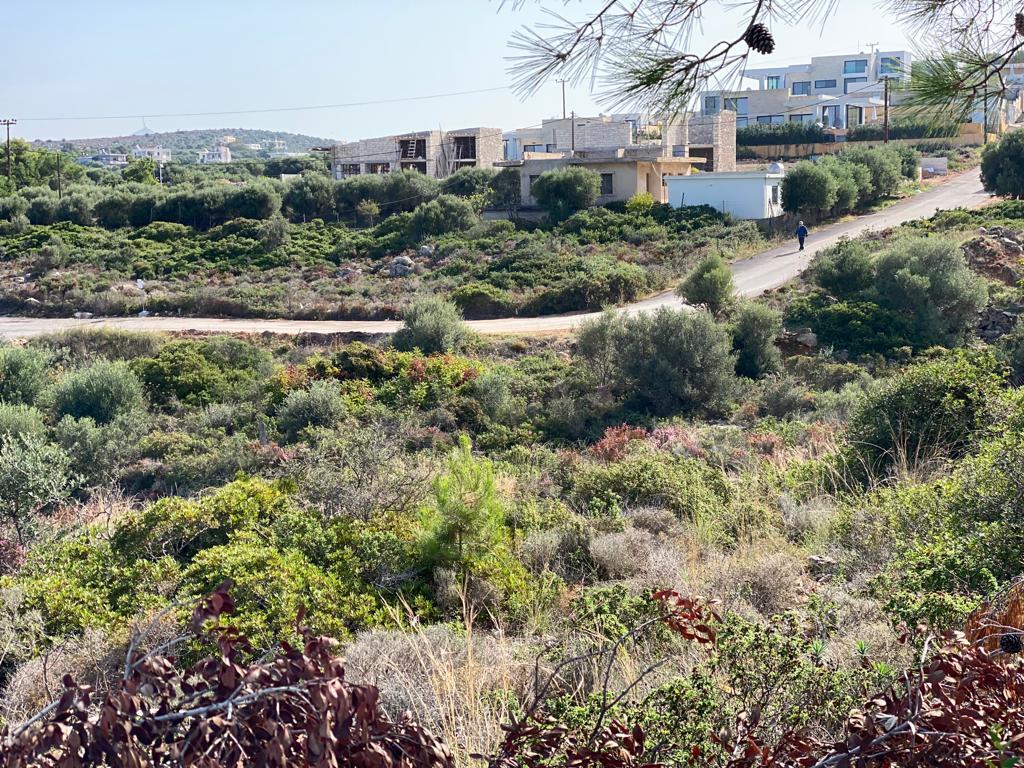 Land in Akrotiri, Chania Prefecture, Greece – 64066