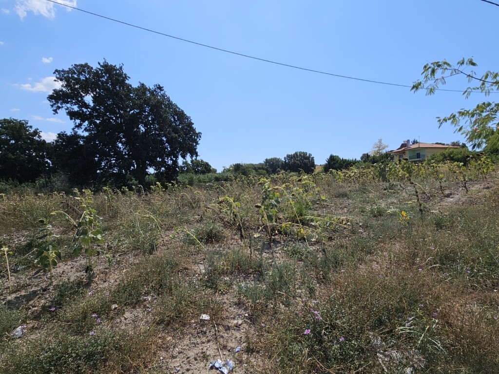 Land in Kassandra, Chalkidiki, Greece – 64014