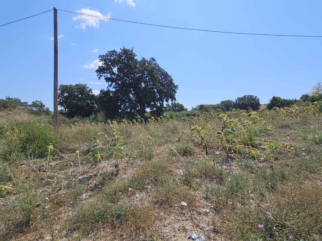 Land in Kassandra, Chalkidiki, Greece – 64014