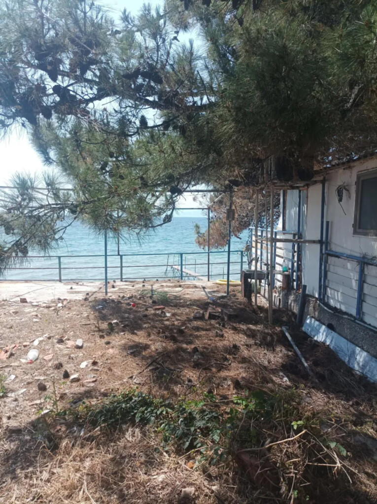 Land in Thasos, Kavala Prefecture, Greece – 63989