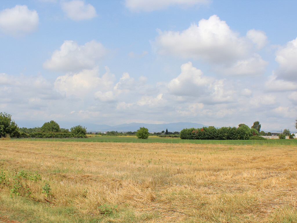 Land in Litochoro, Pieria Prefecture, Greece – 63974