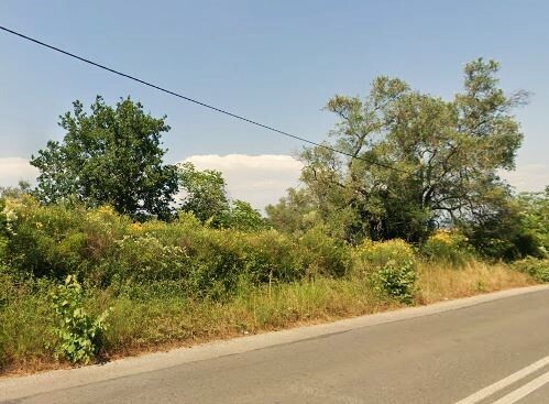Land in Corfu, Corfu Prefecture, Greece – 63969