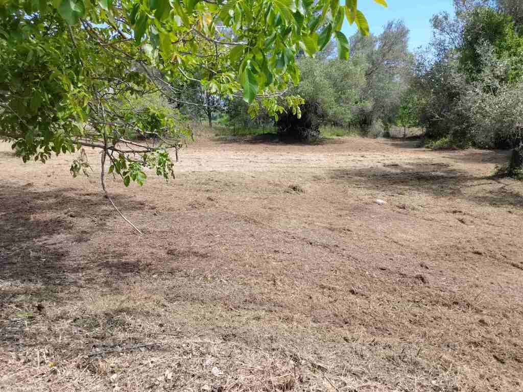 Land in Corfu, Corfu Prefecture, Greece – 63961
